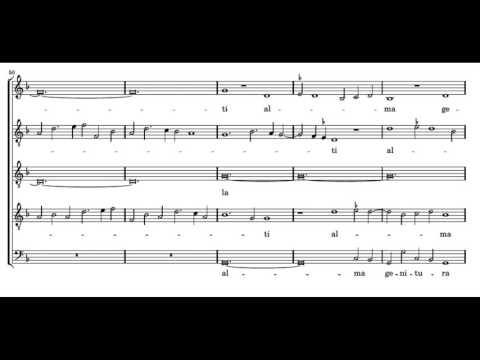 Josquin: Illibata Dei Virgo nutrix - Parrott