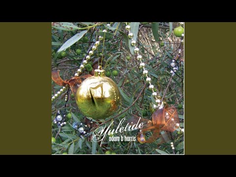 download lagu mp3 mp4 Adam B Harris We Wish You A Merry Christmas, download mp3 Adam B Harris We Wish You A Merry Christmas free download mp3, download mp3 Adam B Harris We Wish You A Merry Christmas
