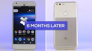 Google Pixel XL Revisited: Is it Still Worth it? (6 Months Later!)