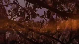 In onda  -  Francesco De Gregori