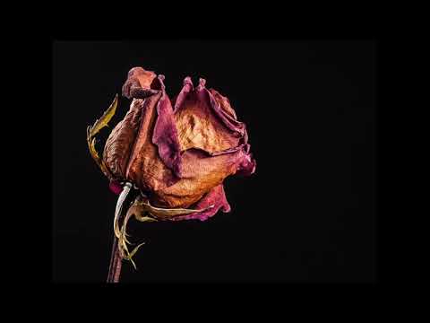 VERDURA & SOSV - Tiempo sin verme