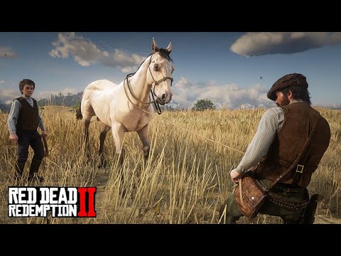 DOMANDO CAVALO EM GRUPO - Dupla de domadores de cavalo  -  Red Dead Redemption 2