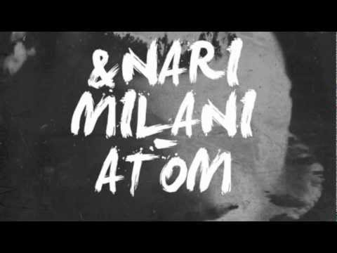 Nari & Milani vs Otto Knows vs Fatboy - One Million Atoms Right Here Right Now (DJ Ash Smith Mash)