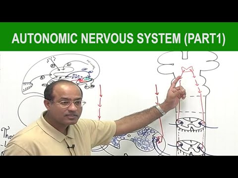 dr najeeb physiology lectures torrent dr najeeb physiology lectures torrent