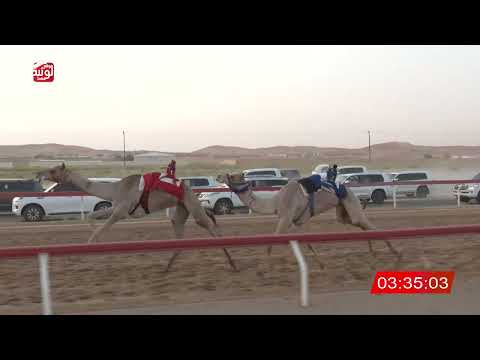 2 alsaad