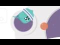 Dumb Ways To Die 2 The Final Dumbtier