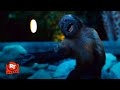 Zookeeper (2011) - Goofy Talking Animals Scene | Movieclips