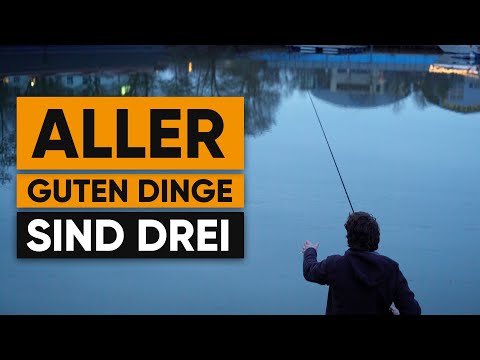 Pike-perch and perch in winter!