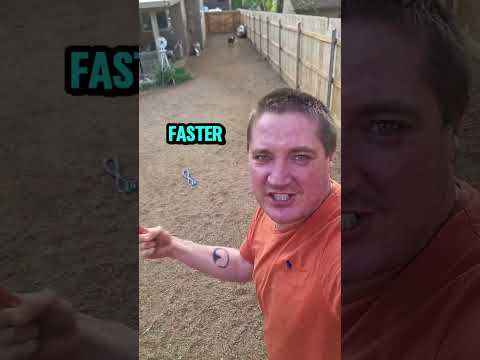 .songcuya faster than a turtle #dog #bordercollie