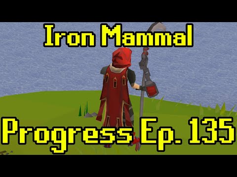 This Took Me 5 Years... | Iron Mammal Progress Ep. 135