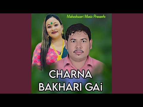 Charna Bakhari Gai