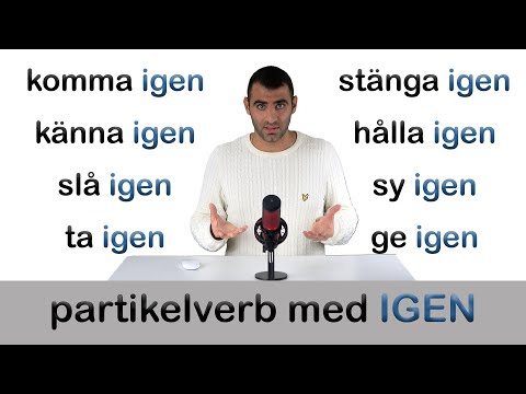 FÖRSTÅ SVENSKA RÄTT!!! (partikelverb med adverbet IGEN)
