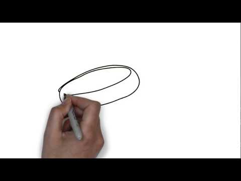 Wealth and Estate Law Group PLLC video.