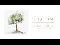 SHALOM - Heavenly Soaking (Louange Instrumentale) - 1 heure d'adoration instrumentale pour la prière