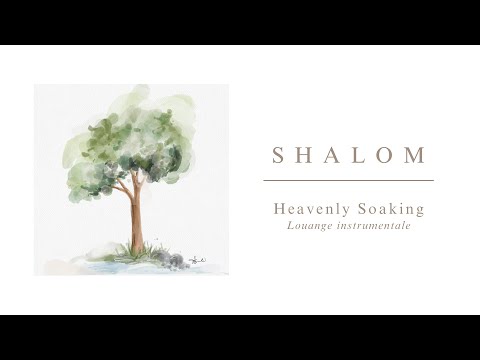 Shalom - The Best Instrumental