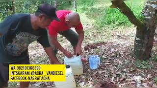 Download lagu PEMUPUKAN BIOPORI MENGGUNAKAN PUPUK ORGANIK ECO FARMING PADA TANAMAN DURIAN OTONG,INFO  082191366399 mp3
