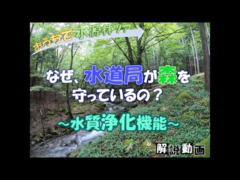 【おうちで水源林ツアー】水道局が森を守る理由～②水質浄化機能～