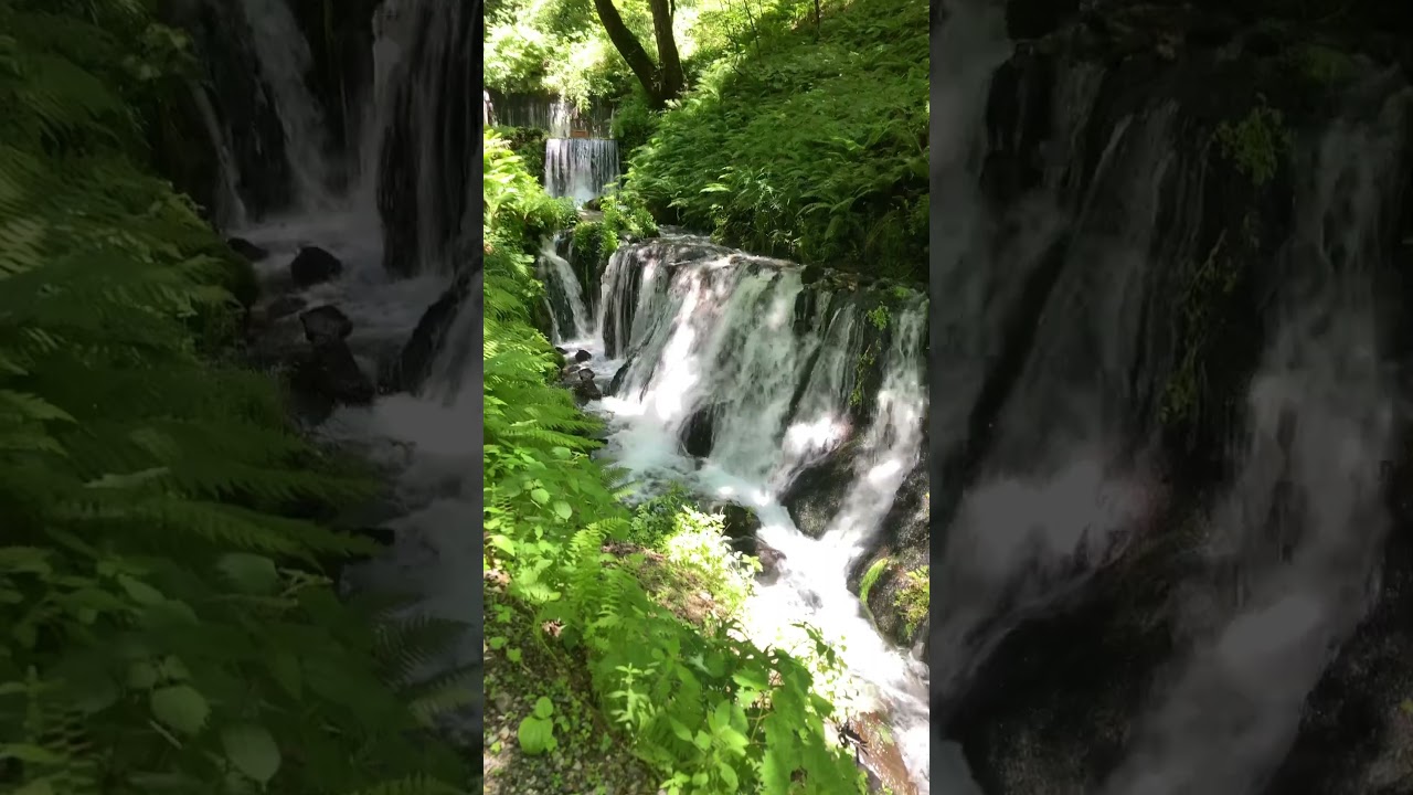 YouTube Short thumbnail