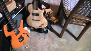 Video thumbnail for 1997 Parker Fly Artist: Guitar Unboxing & Review by Danielle Muscato