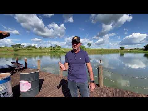 Uma bela propriedade na região de Inhumas GO. Dupla aptidão, uma linda casa sede . 