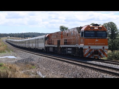 Chasing the Great Southern