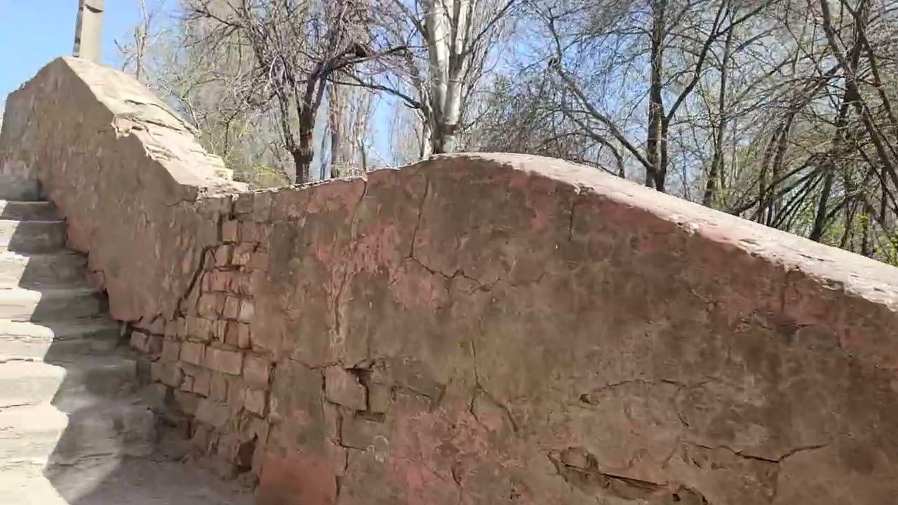 С ВЕРБНЫМ 🌿ВОСКРЕСЕНЬЕМ ИЗ ЗАПОРОЖЬЯ 5 АПРЕЛЯ 2026