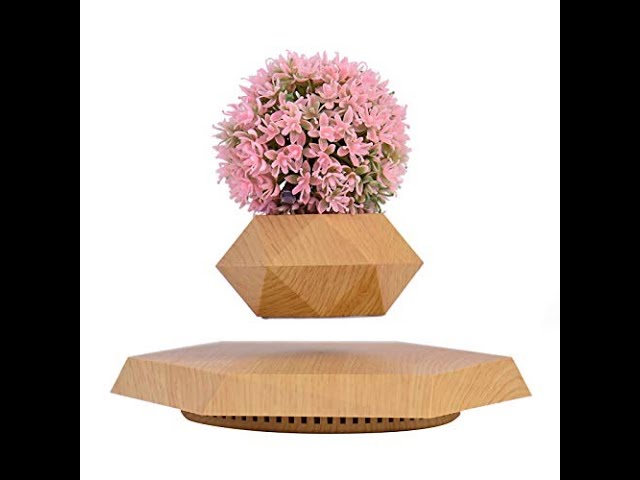 وعاء النباتات العائم للديكور المنزلي والمكتب الرفع...