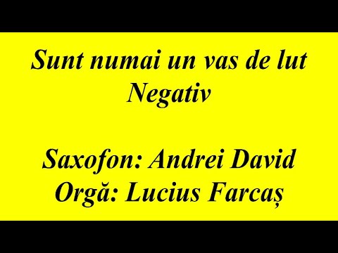 NEGATIV - SUNT NUMAI UN VAS DE LUT