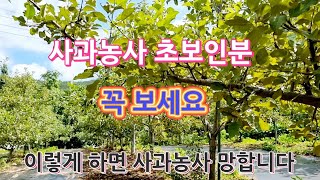 사과나무 이렇게 키우고 관리하면 사과농사 망합니다