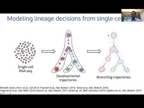Manu Setty: Computational modeling of lineage decision mechanisms using single-cell data