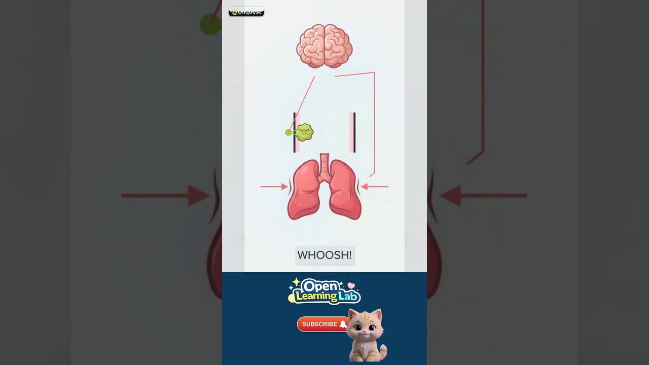 Why Do We Cough? — The WHOA fact 🚀 #Shorts