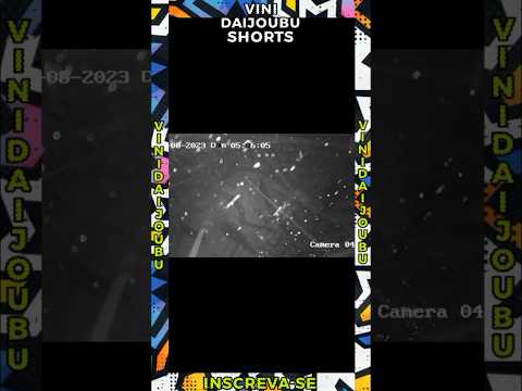 ACIDENTE NA BR ENTRE CARIRA E ITABAIANA SERGIPE #carira #sergipe #itabaiana #acidente