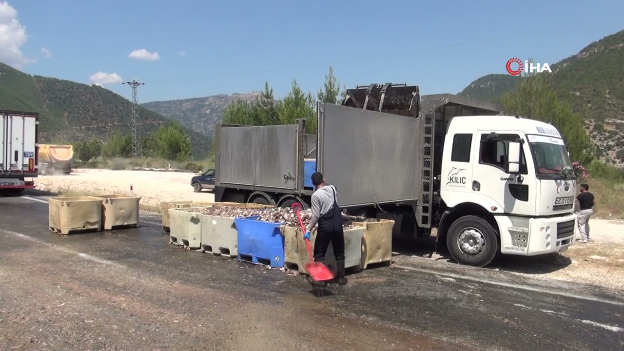 Silifke’de Tırdan 15 Ton Balık Atığı Saçıldı