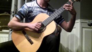 The Human Abstract - Elegiac intro (solo guitar cover)