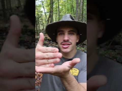 Using Your Hands to Make a Bird Call!