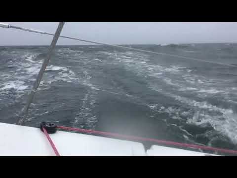 JPK 1030 Beluga reaching summertrip