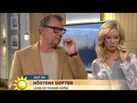 SG79 STHLM - Nyhetsmorgon (TV4)