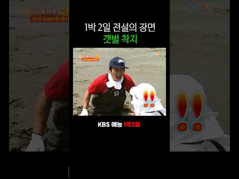 1박 2일 갯벌 명장면
