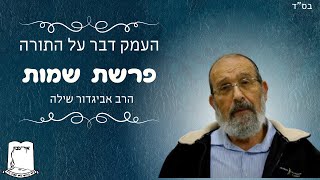 העמק דבר על התורה | פרשת שמות | הרב אביגדור שילה (ישיבת אור עציון) - התמונה מוצגת ישירות מתוך אתר האינטרנט יוטיוב. זכויות היוצרים בתמונה שייכות ליוצרה. קישור קרדיט למקור התוכן נמצא בתוך דף הסרטון