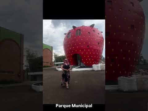 Cidades gaúchas Bom princípio 46/497 #riograndedosul #cidadesbrasileiras #viajar #turismonobrasil