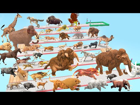 Which Animal vs Prehistoric Mammals Speed Race Run Zigzag Down Course! from Outside Animal Revolt