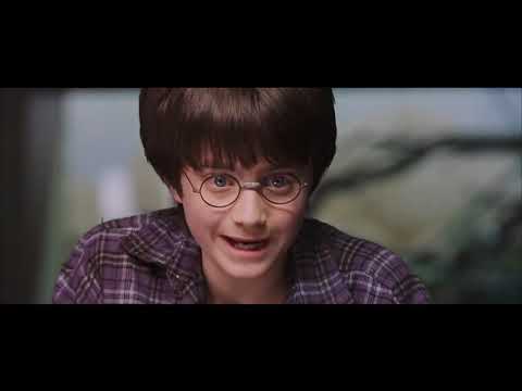 Harry Potter Video Comprehension