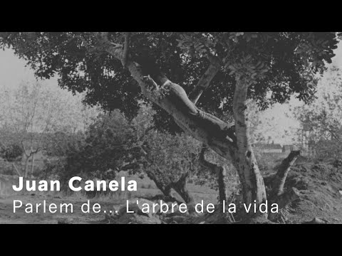 Hablemos de... Fina Miralles | Juan Canela