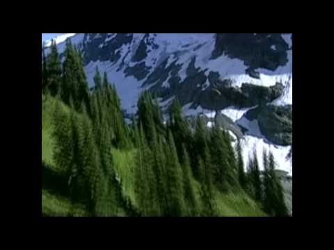 The Cowsills - We Can Fly