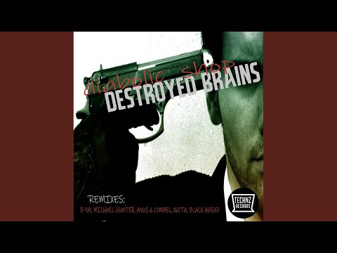 Destroyed Brains (Michael Hunter Remix)