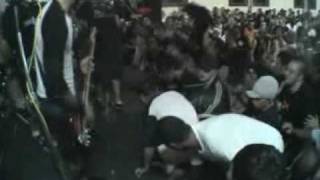 - terror 12 - (live) - liberation fest (2005) - nuestra familia (madball cover).mpg