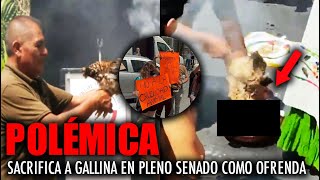 MÉXICO se vuelve NOTICIA MUNDIAL por EL SACRIFICIO de UNA GALLINA en PLENO SENADO!