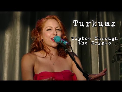 Turkuaz: Tiptoe Through The Crypto [4K] 2015-08-01 - Gathering of the Vibes