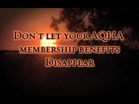 download lagu mp3 mp4 Aqha Membership Renewal, download lagu Aqha Membership Renewal gratis, unduh video klip Aqha Membership Renewal