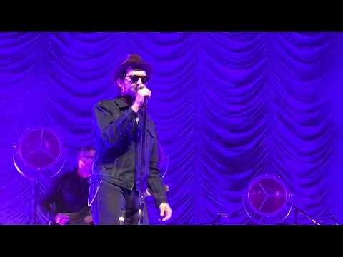 Eels - Raspberry beret ( Prince cover )